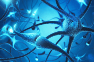 synaptogenesis-neuroglow